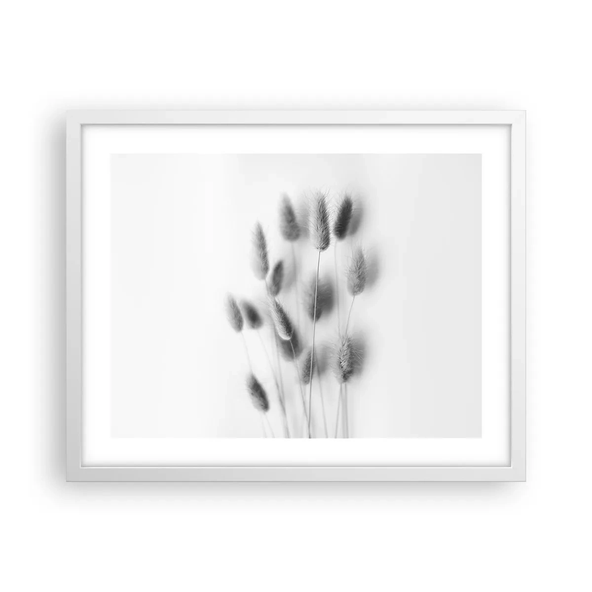 Poster in einem weißen Rahmen - Eure flauschige Grashoheit - 50x40 cm