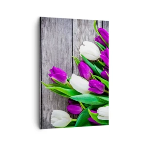 Bild auf Leinwand - Leinwandbild - Ein Strauß lila und weißer Tulpen auf einem hölzernen Hintergrund - 70x100cm - Am Tag der Frühlingsferien - Moderne Wanddekoration für Wohnzimmer und Schlafzimmer ARTTOR