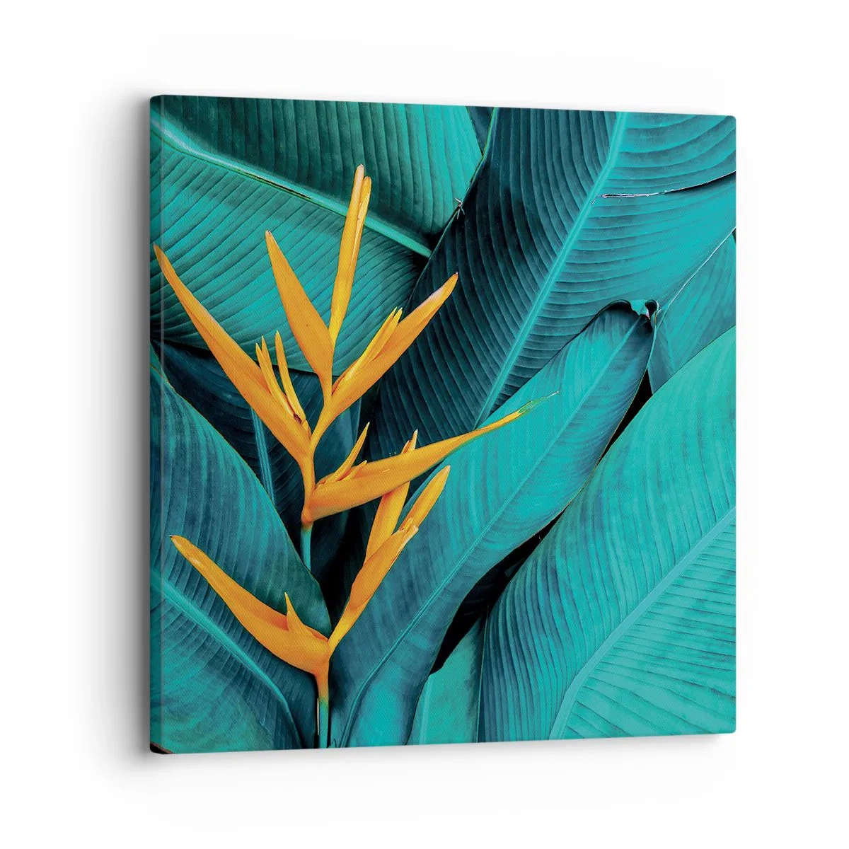 Bild auf Leinwand - Leinwandbild - Eden-Blume - 30x30 cm