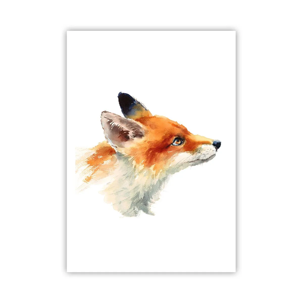 Poster - Man kann nie vorsichtig genug sein - 70x100 cm