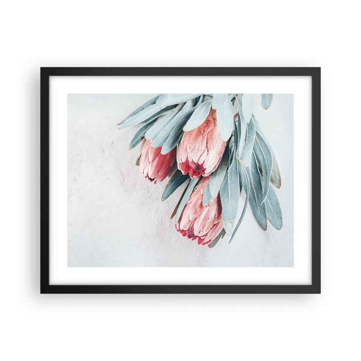 Poster in einem schwarzem Rahmen - Schämen sich für ihre eigene Schönheit - 50x40 cm