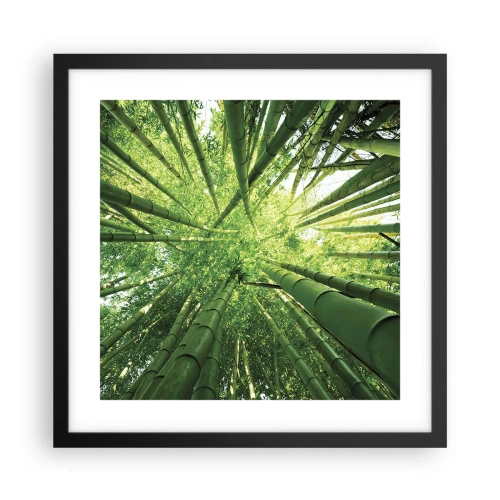 Poster in einem schwarzem Rahmen - In einem Bambushain - 40x40 cm
