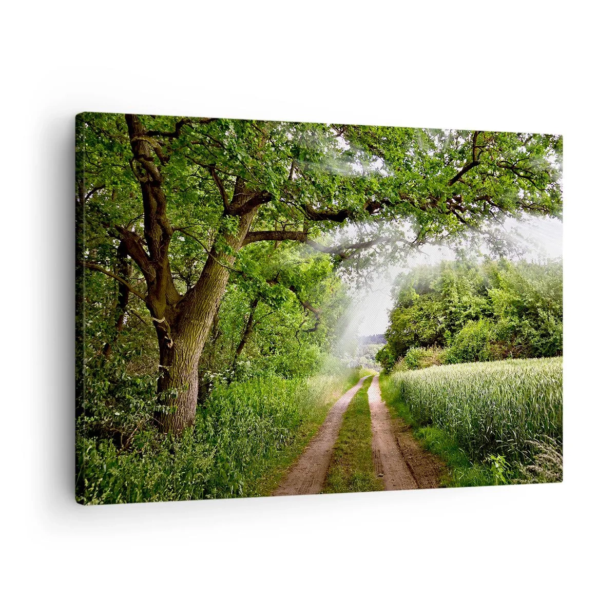 Bild auf Leinwand - Leinwandbild - Eine unbefestigte Straße zwischen grünen Bäumen und Sonnenlicht - 70x50cm - Et in Arcadia ego - Moderne Wanddekoration für Wohnzimmer und Schlafzimmer ARTTOR