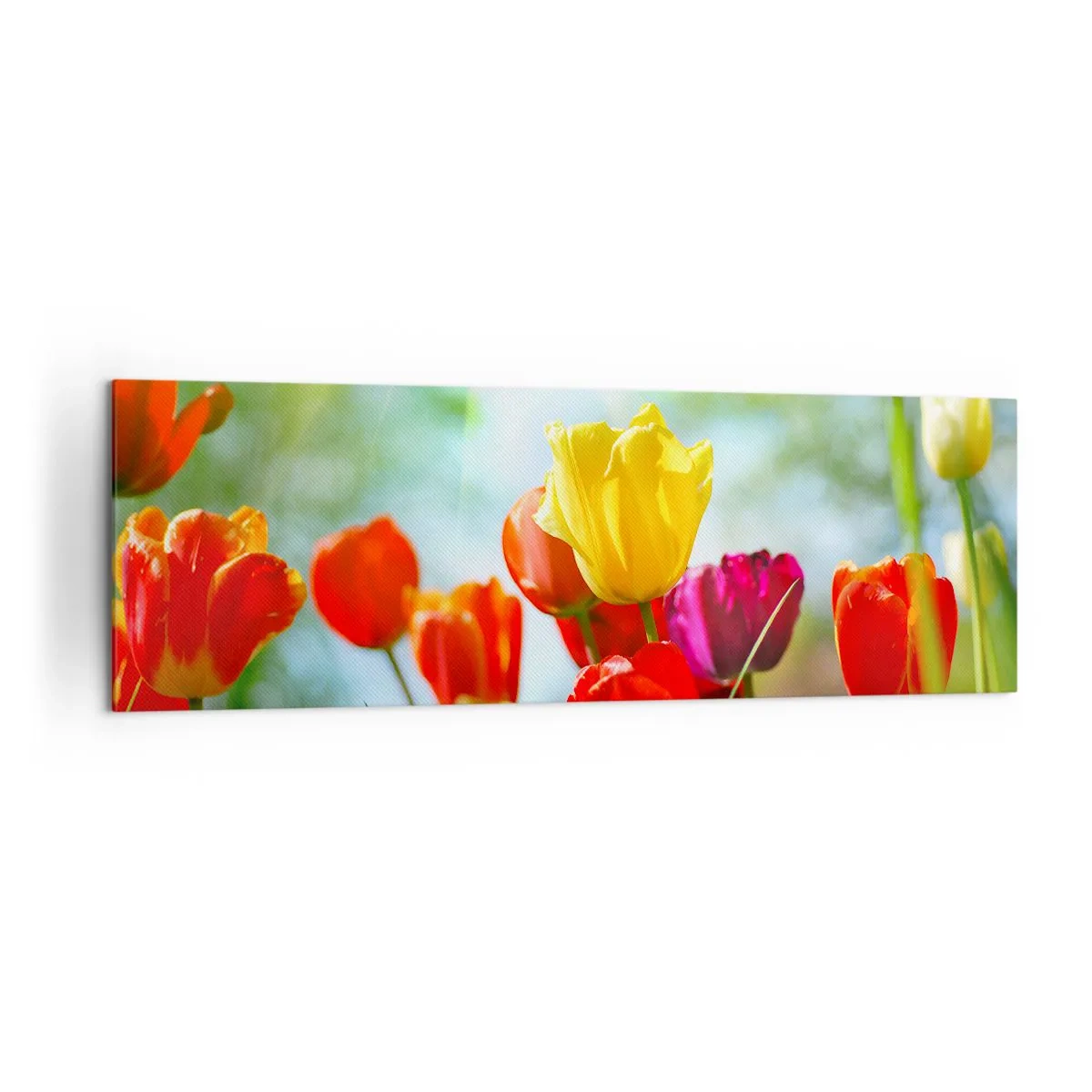 Bild auf Leinwand - Leinwandbild - Bunte Tulpen im Sonnenschein - 160x50cm - Alle Farben der Sonne - Moderne Wanddekoration für Wohnzimmer und Schlafzimmer ARTTOR