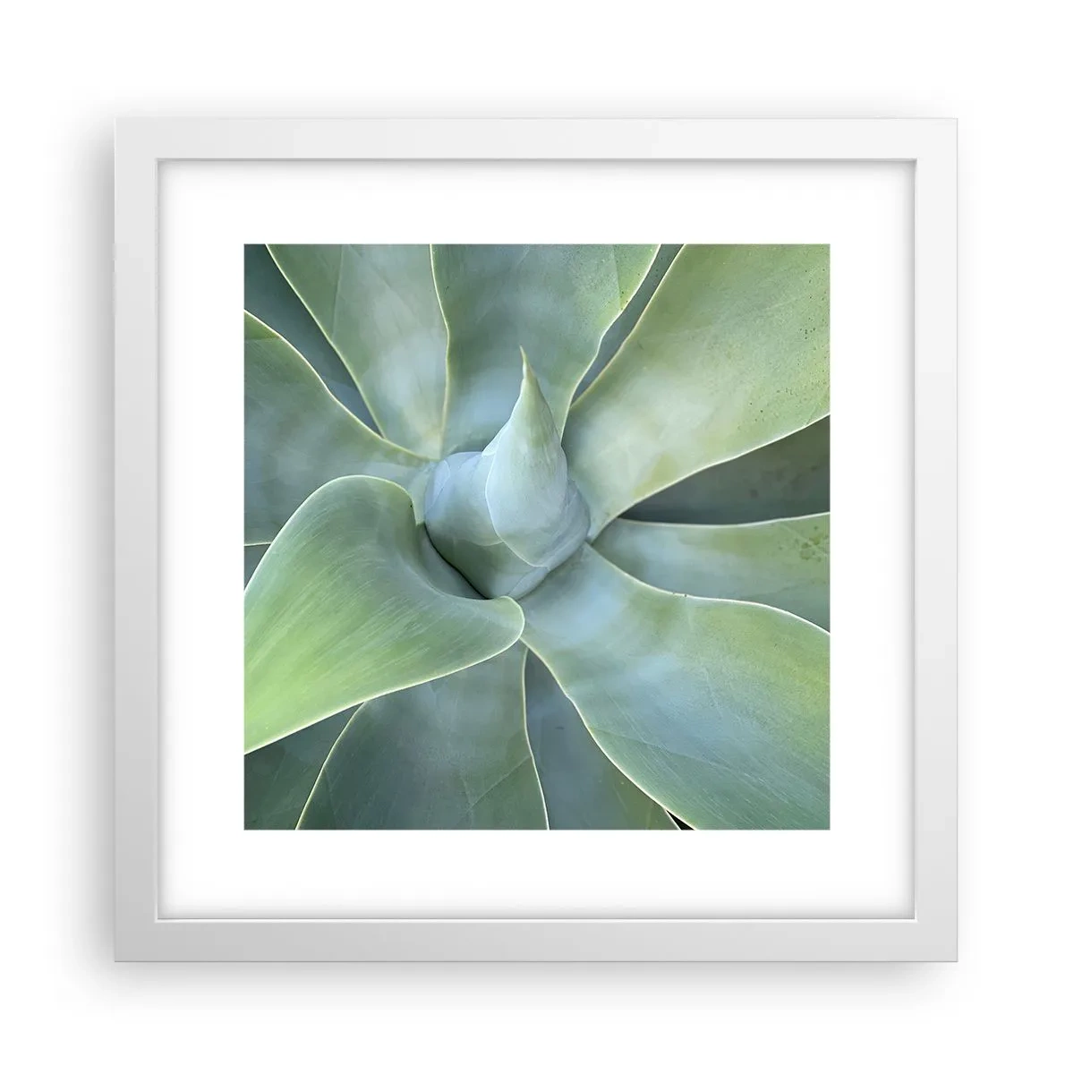 Poster in einem weißen Rahmen - Geburt des Grüns - 30x30 cm