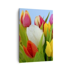 Bild auf Leinwand - Leinwandbild - Bunte Tulpen mit Tautropfen auf blauem Hintergrund bedeckt - 70x100cm - Ein blumiger Regenbogen in Tautropfen - Moderne Wanddekoration für Wohnzimmer und Schlafzimmer ARTTOR