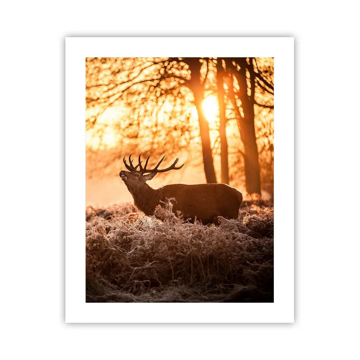 Poster - Der Traum eines Jägers - 40x50 cm