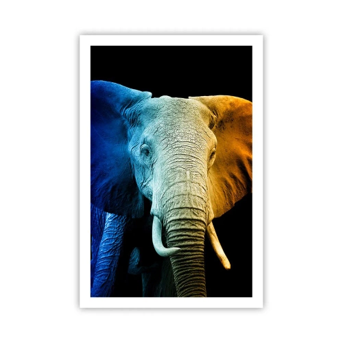 Poster - Exzentrisch, kein Verrückter - 61x91 cm