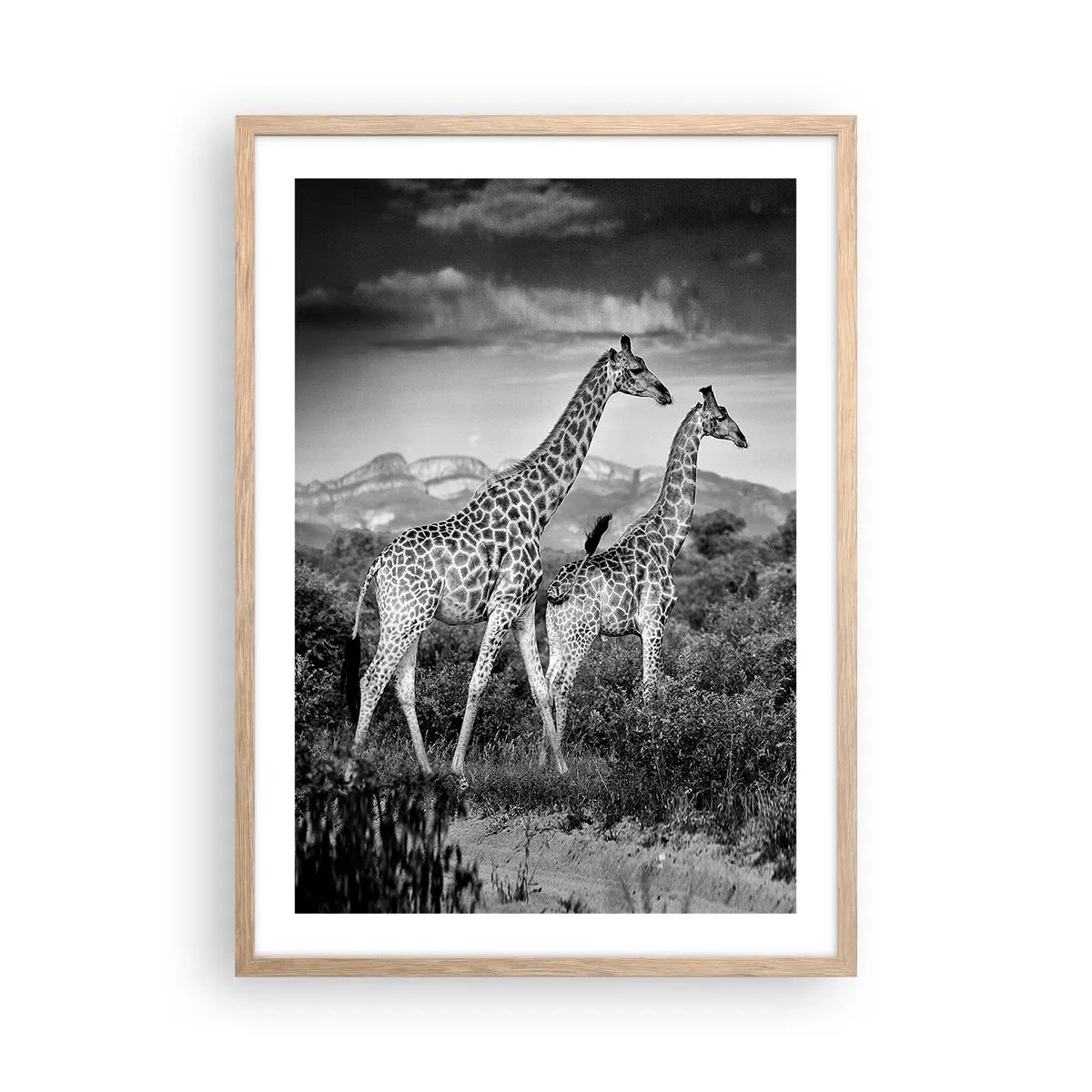 Poster in einem Rahmen aus heller Eiche - Hohe Sphären in Afrika - 50x70 cm