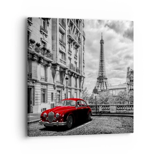 Bild auf Leinwand - Leinwandbild - Raubtier in der Stadt - 40x40 cm