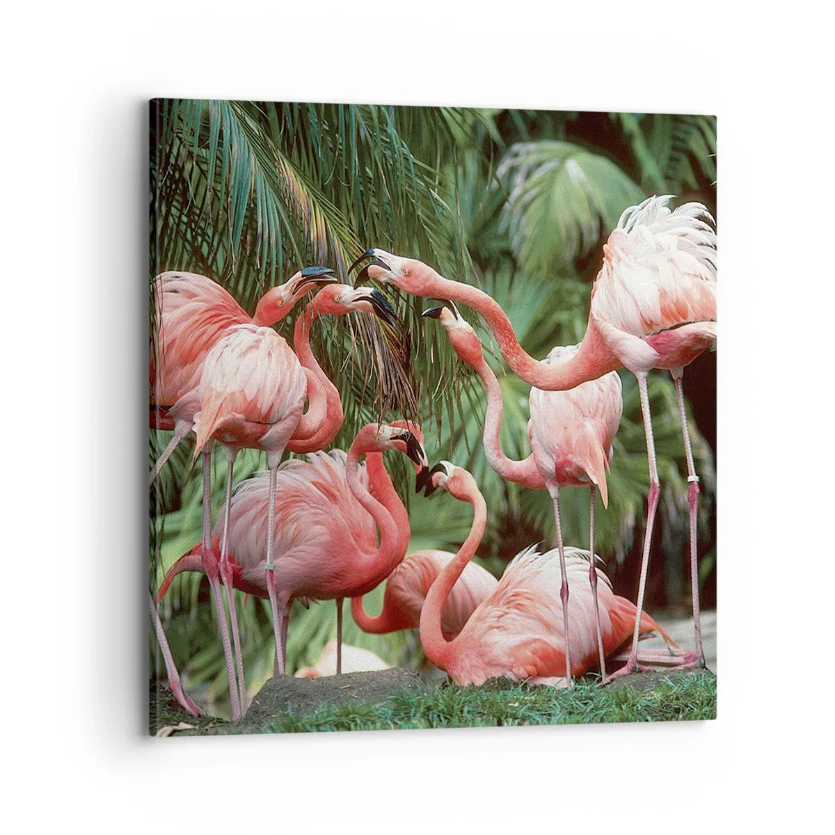 Bild auf Leinwand - Leinwandbild - Nachmittagsklatsch - 70x70 cm