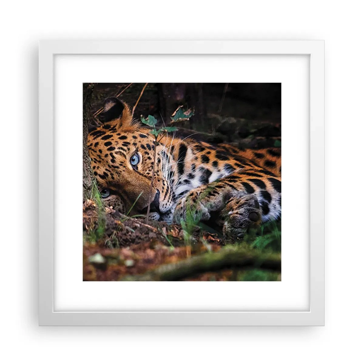 Poster in einem weißen Rahmen - Vertrau mir - 30x30 cm