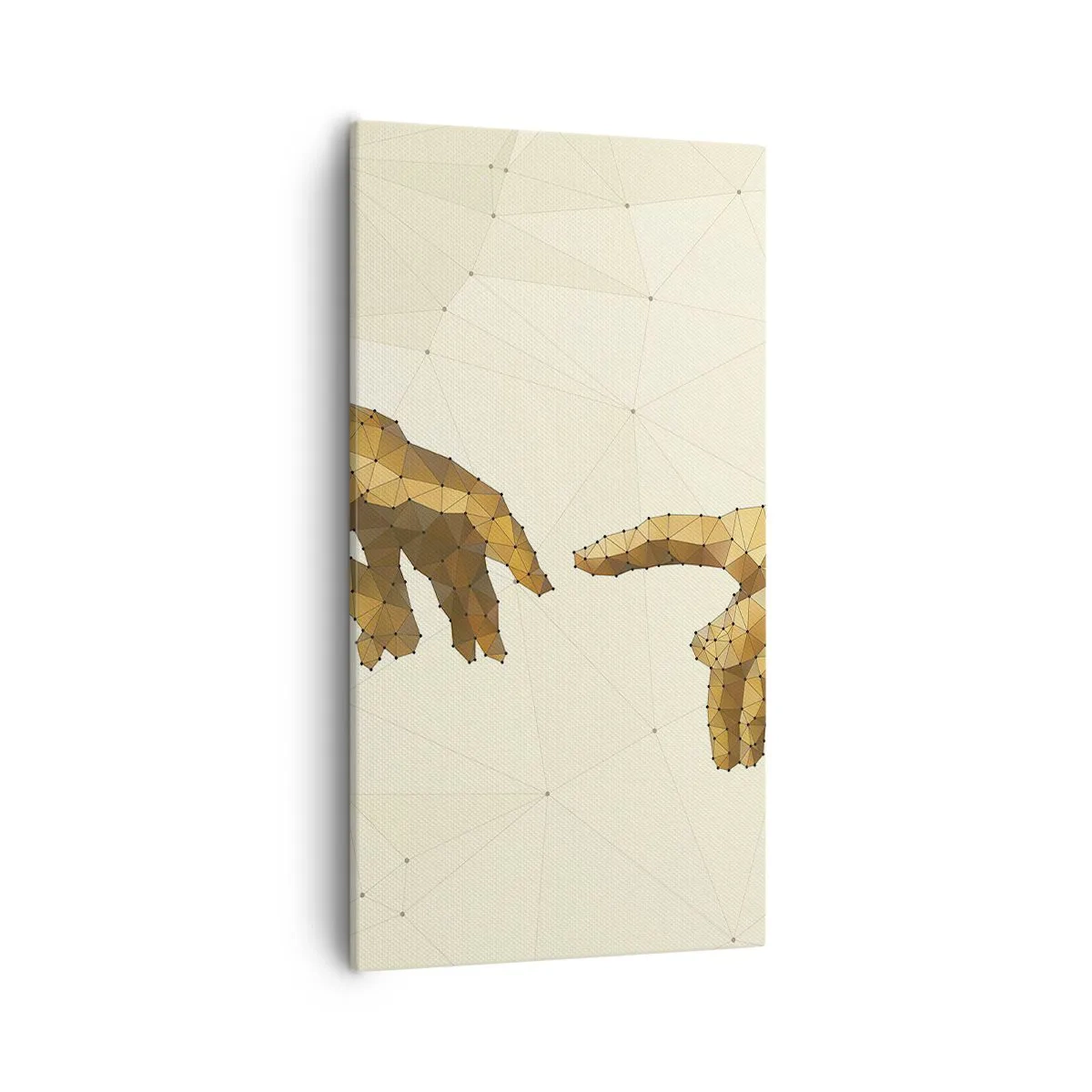 Bild auf Leinwand - Leinwandbild - Göttliche Geometrie - 55x100 cm