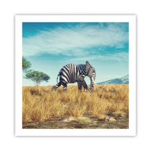 Poster - Grau ist nicht mehr in Mode - 60x60 cm