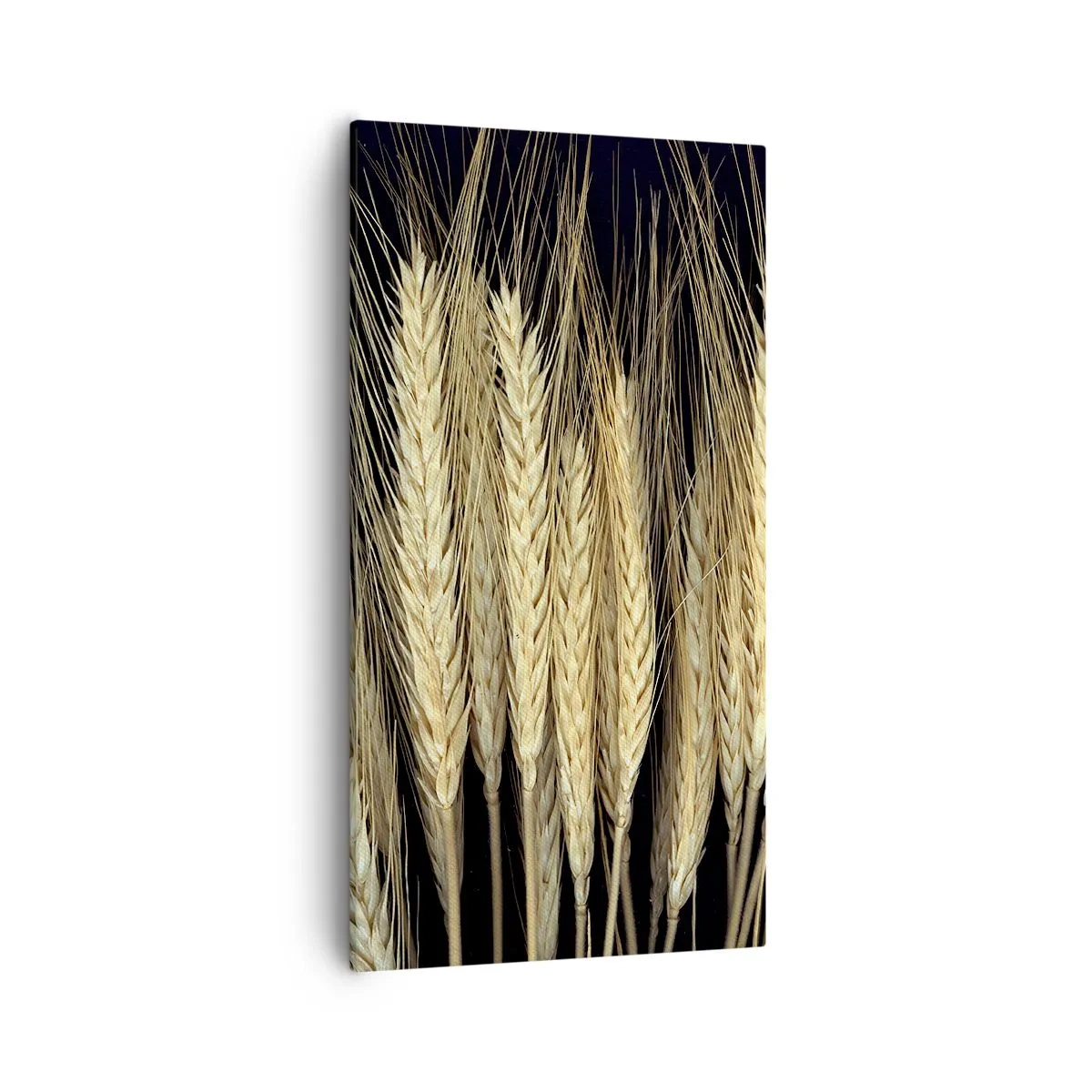 Bild auf Leinwand - Leinwandbild - Rustikale Magie - 55x100 cm