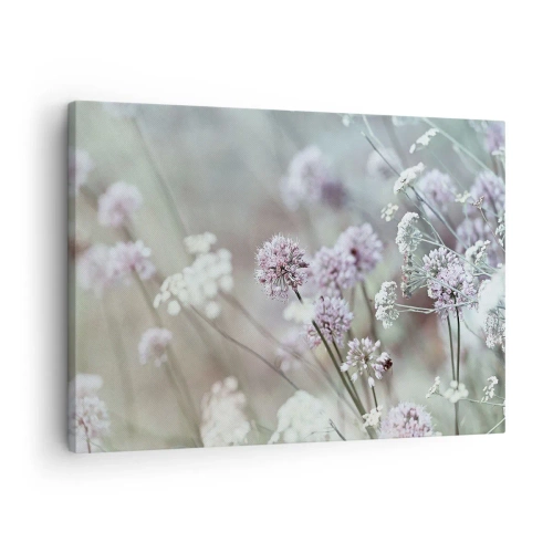 Bild auf Leinwand - Leinwandbild - Zarte Blüten in Pastelltönen - 70x50cm - Süße filigrane Kräuter - Moderne Wanddekoration für Wohnzimmer und Schlafzimmer ARTTOR
