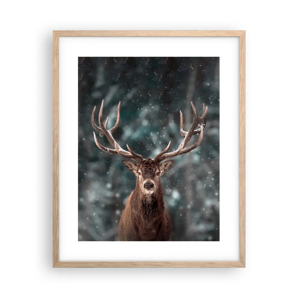 Poster in einem Rahmen aus heller Eiche - Gekrönter König des Waldes - 40x50 cm