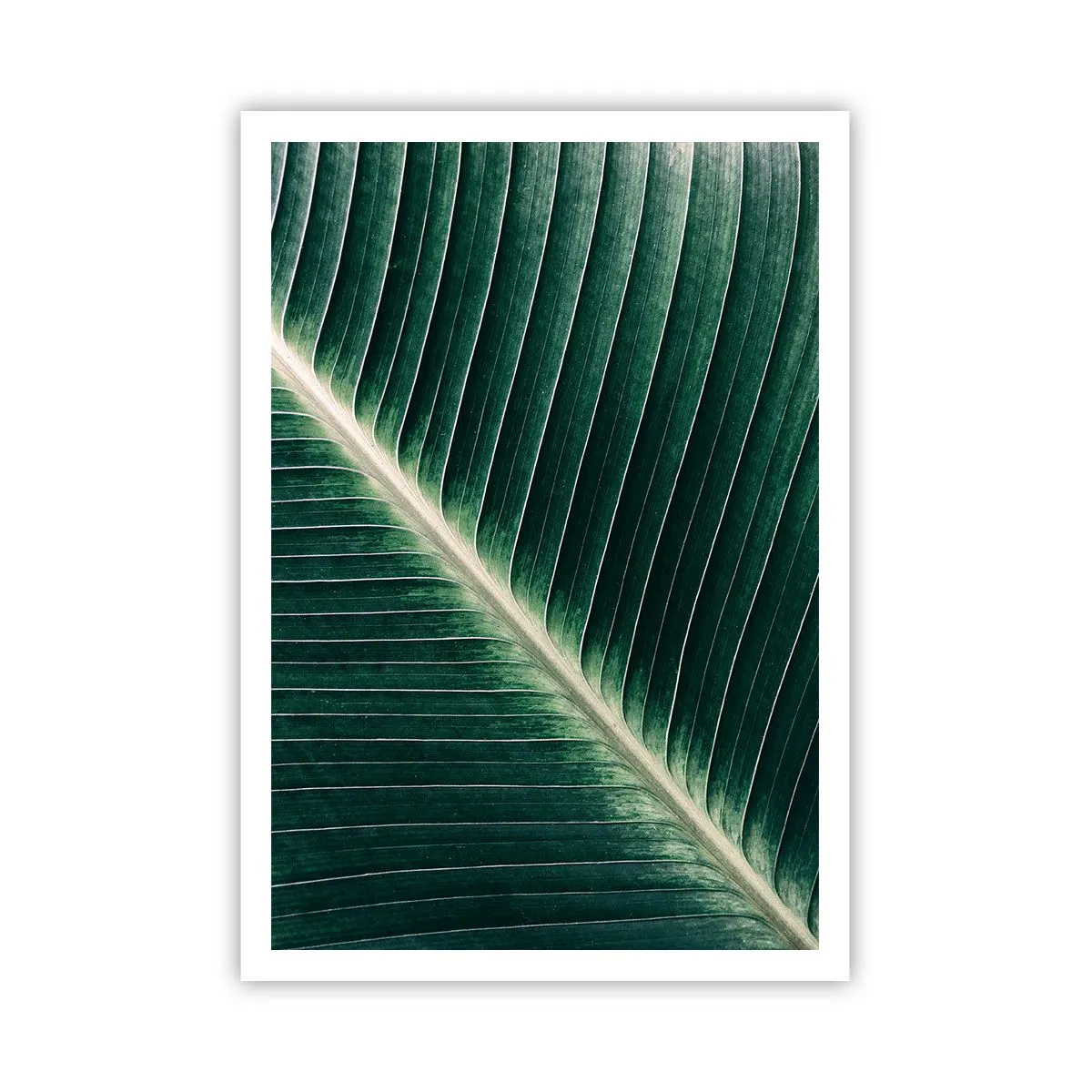 Poster - Rhythmus der Natur - 70x100 cm