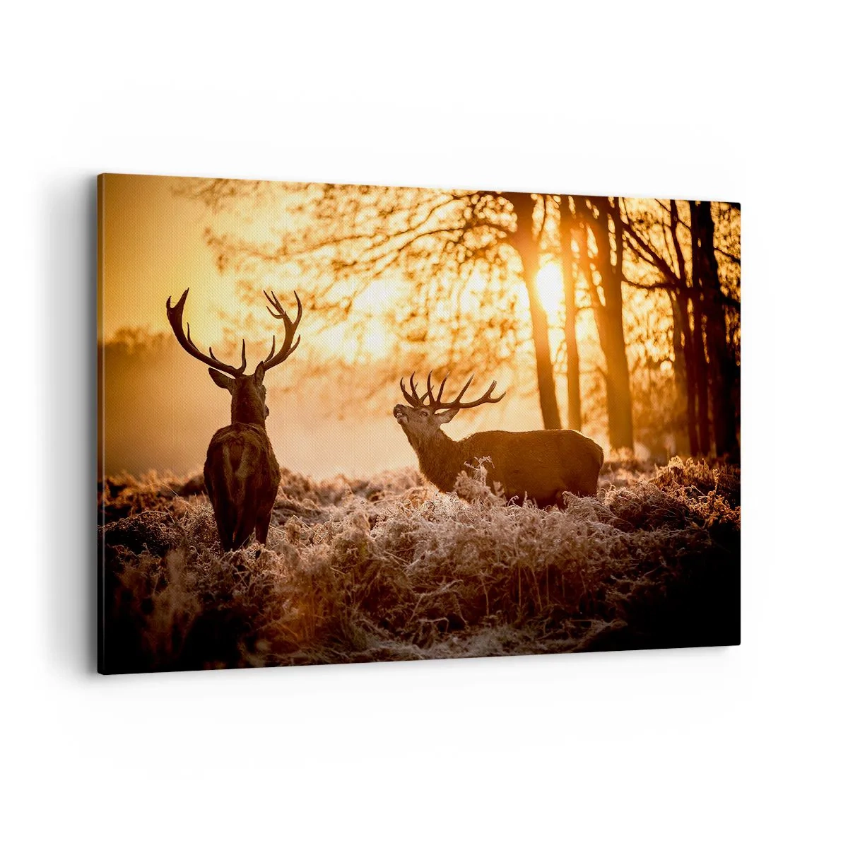 Bild auf Leinwand - Leinwandbild - Zwei Hirsche bei Sonnenuntergang in einer Winterlandschaft - 120x80cm - Der Traum eines Jägers - Moderne Wanddekoration für Wohnzimmer und Schlafzimmer ARTTOR