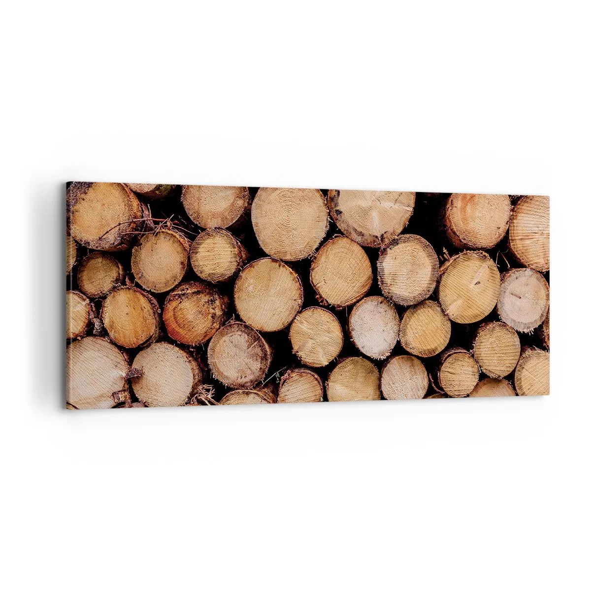 Bild auf Leinwand - Leinwandbild - Ein neuer Anfang - 100x40 cm