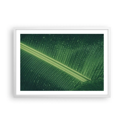 Poster in einem weißen Rahmen - Die Struktur des Grüns - 70x50 cm