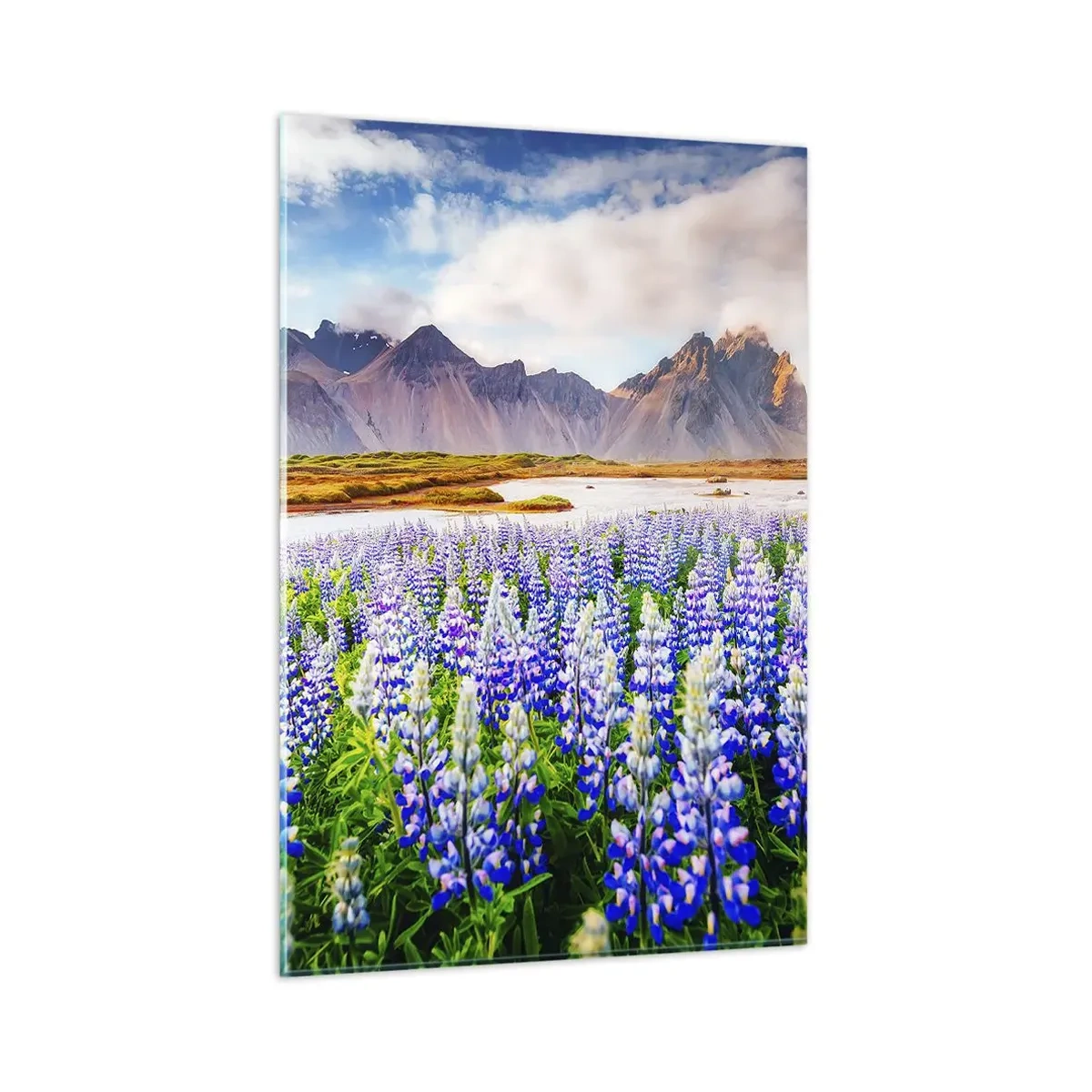 Glasbild - Bild auf glas - Blumen in einer Berglandschaft mit malerischem Himmel - 80x120cm - Kraft und Strenge neben Sanftmut - Moderne Wanddekoration für Wohnzimmer und Schlafzimmer ARTTOR