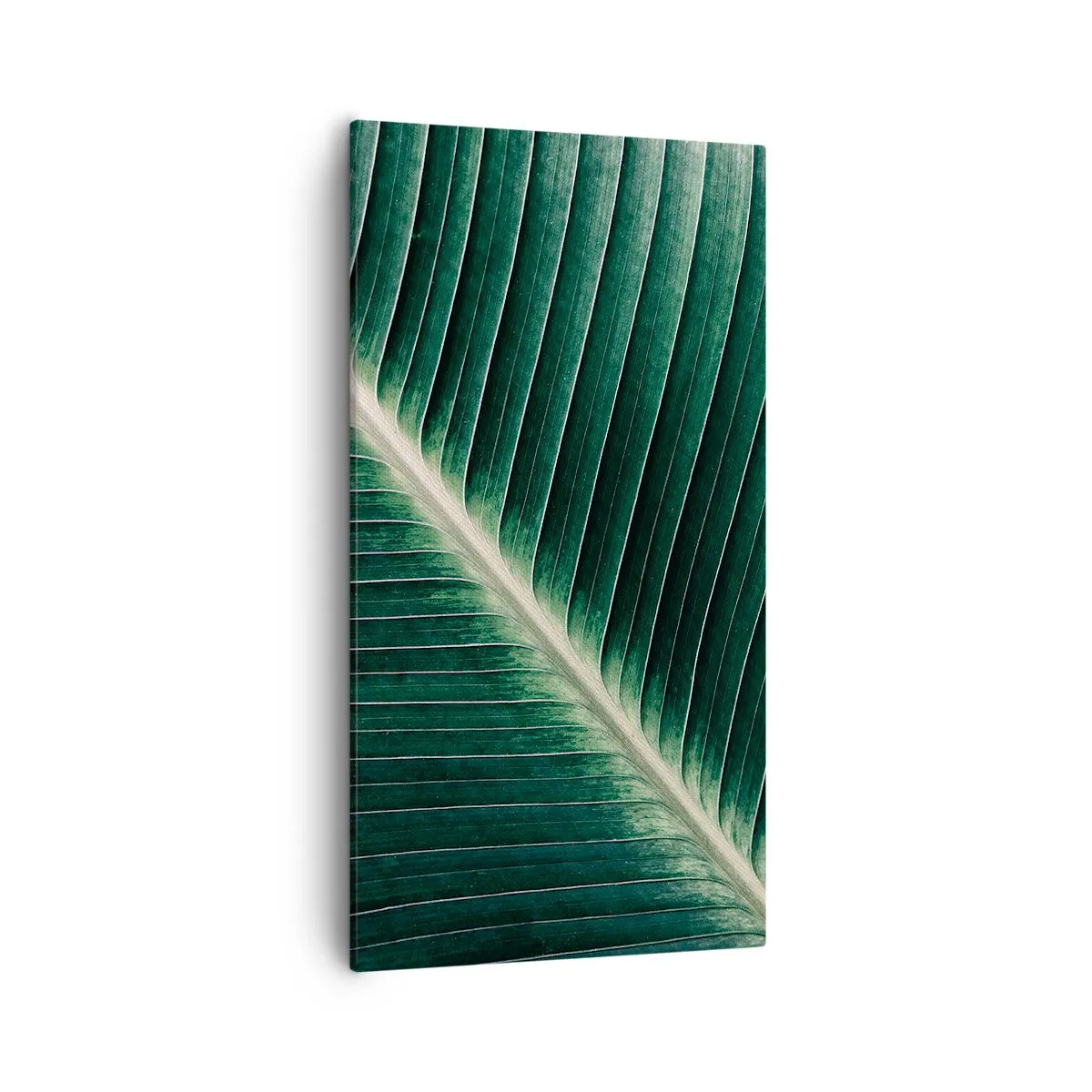 Bild auf Leinwand - Leinwandbild - Rhythmus der Natur - 55x100 cm