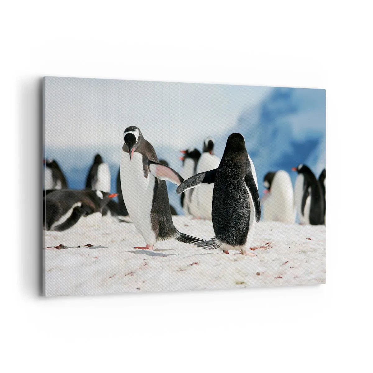 Bild auf Leinwand - Leinwandbild - Eine Gruppe Pinguine im Schnee in einer antarktischen Landschaft - 120x80cm - Tanzen im Schnee - Moderne Wanddekoration für Wohnzimmer und Schlafzimmer ARTTOR
