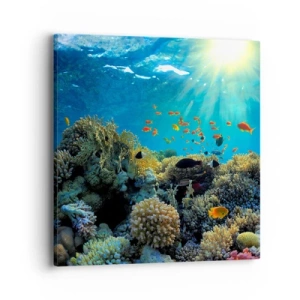 Bild auf Leinwand - Leinwandbild - Unterwasserschätze - 40x40 cm