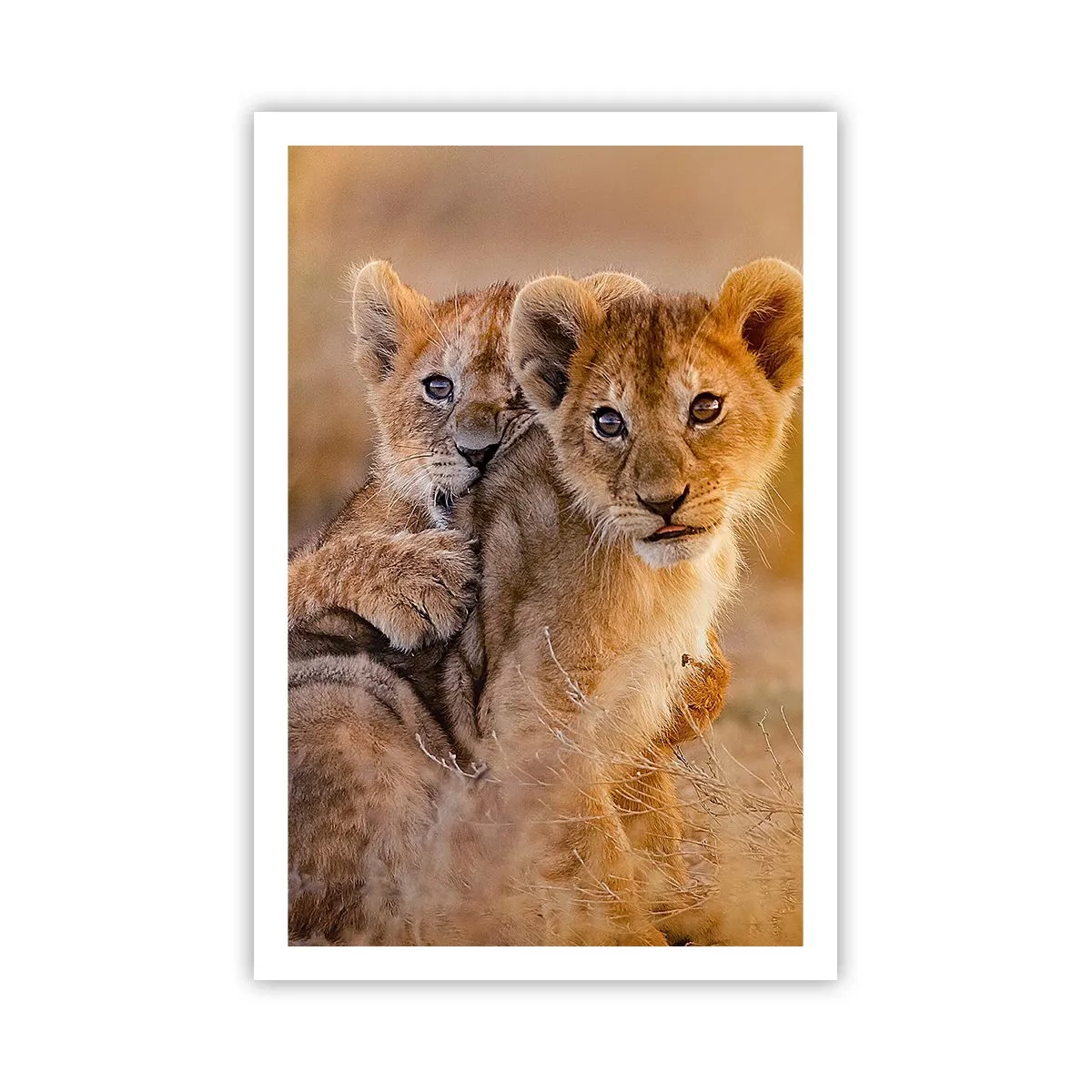 Poster - Bitte nicht stören! Wir haben Spaß - 61x91 cm