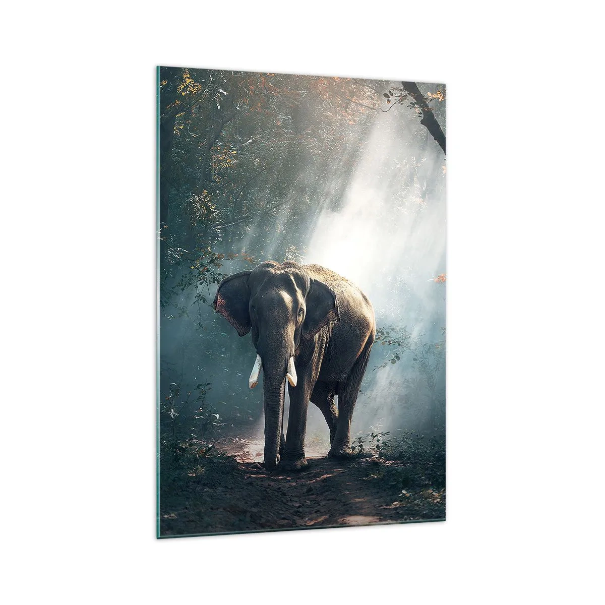 Glasbild - Bild auf glas - Elefant im Waldlicht - 70x100cm - Ein gemütlicher Spaziergang - Moderne Wanddekoration für Wohnzimmer und Schlafzimmer ARTTOR