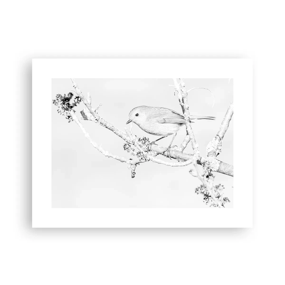 Poster - Wintermorgen - 40x30 cm