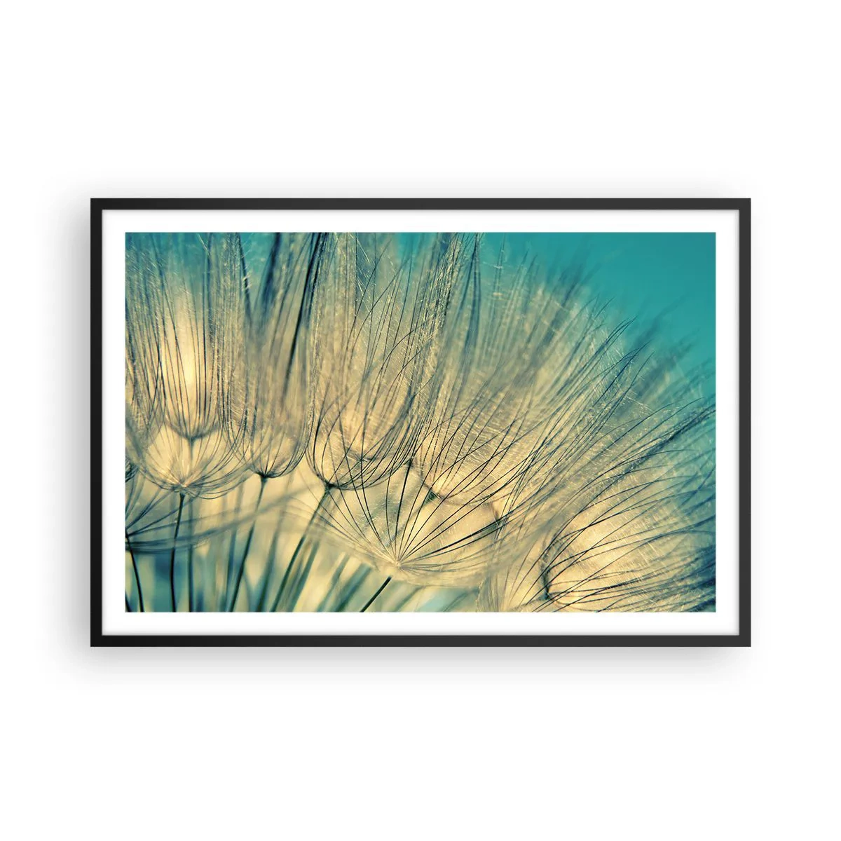 Poster in einem schwarzem Rahmen - In Erwartung des Windes - 91x61 cm