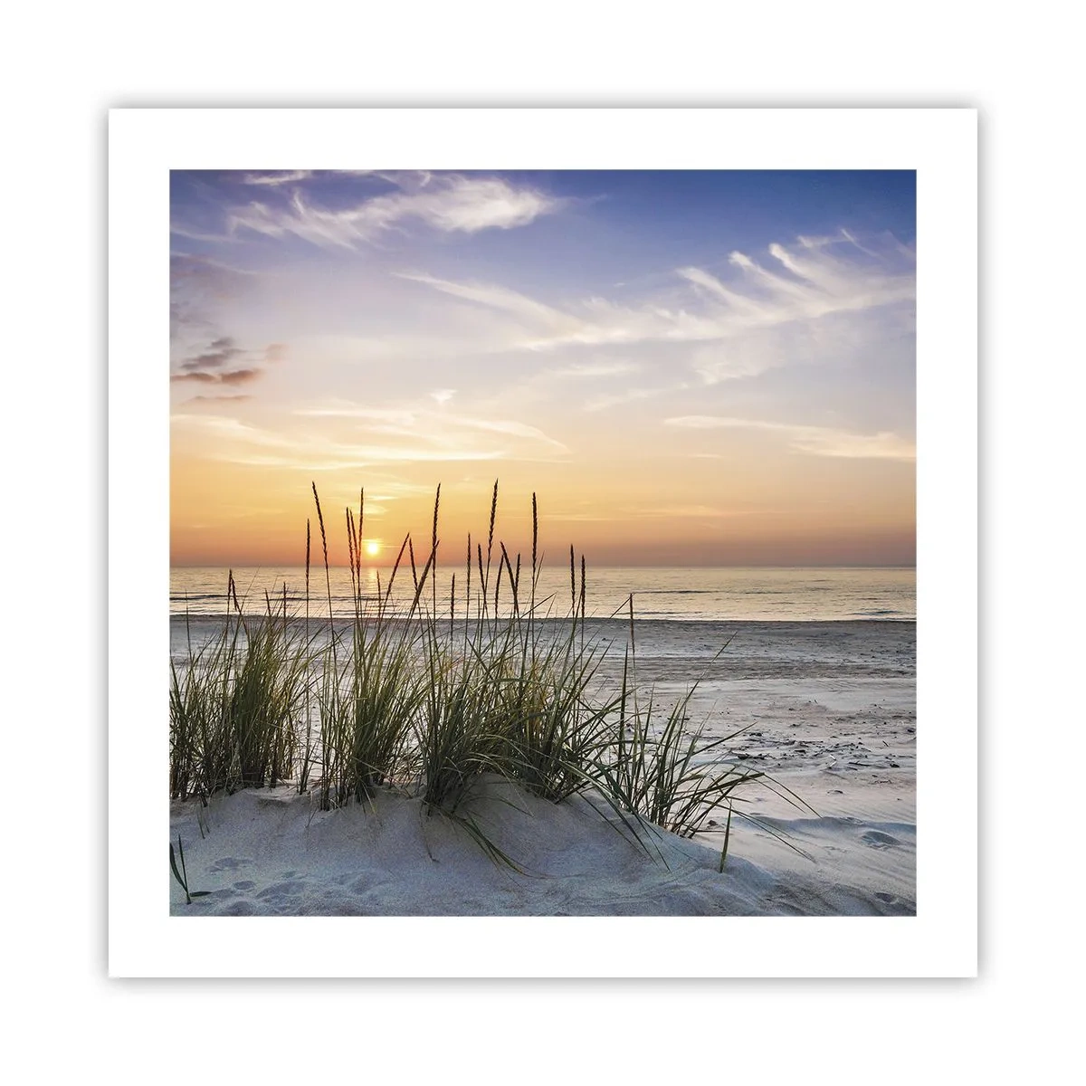 Poster - Schau, denk, fühl - 50x50 cm