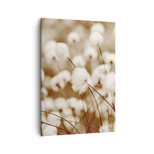 Bild auf Leinwand - Leinwandbild - Ein Feld mit zarten Pflanzen in Sepiatönen - 50x70cm - Flauschiges Kornfeld - Moderne Wanddekoration für Wohnzimmer und Schlafzimmer ARTTOR