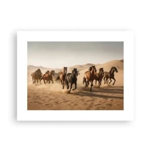 Poster - Frei wie der Wind - 40x30 cm