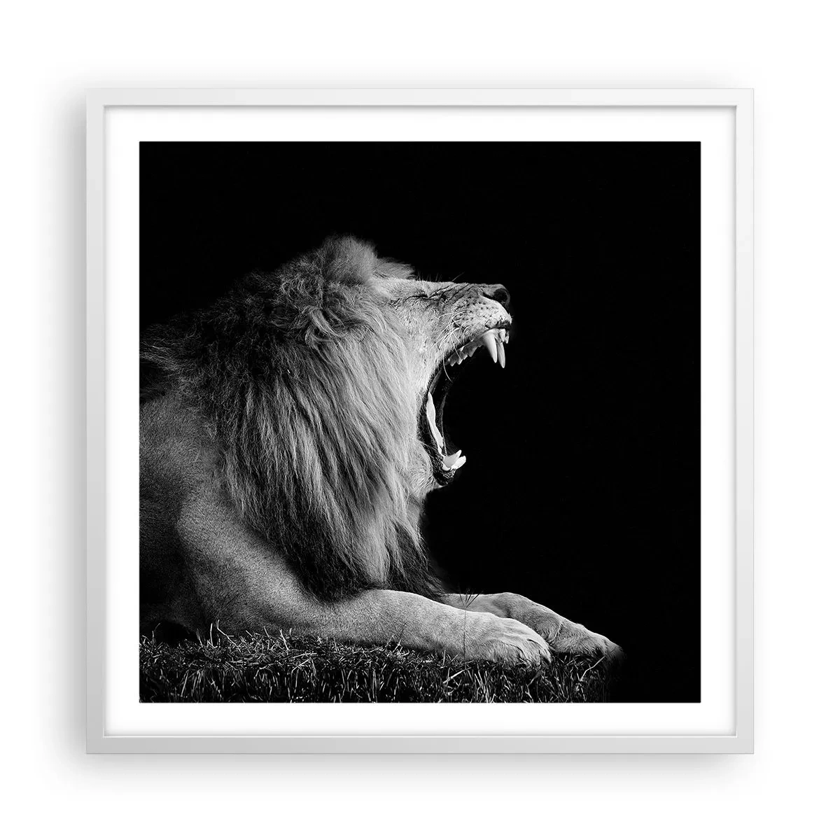 Poster in einem weißen Rahmen - Ohne Zweifel - 60x60 cm