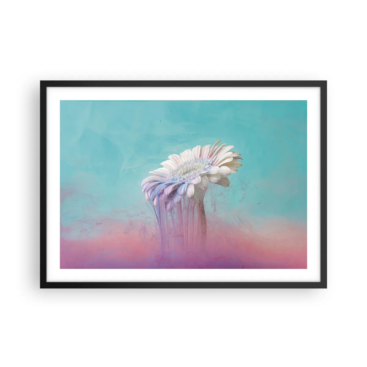 Poster in einem schwarzem Rahmen - Pastellfarbene Gerbera mit Unschärfeeffekt - 70x50cm - Blumenunterwelt - Moderne Wanddekoration für Wohnzimmer und Schlafzimmer ARTTOR