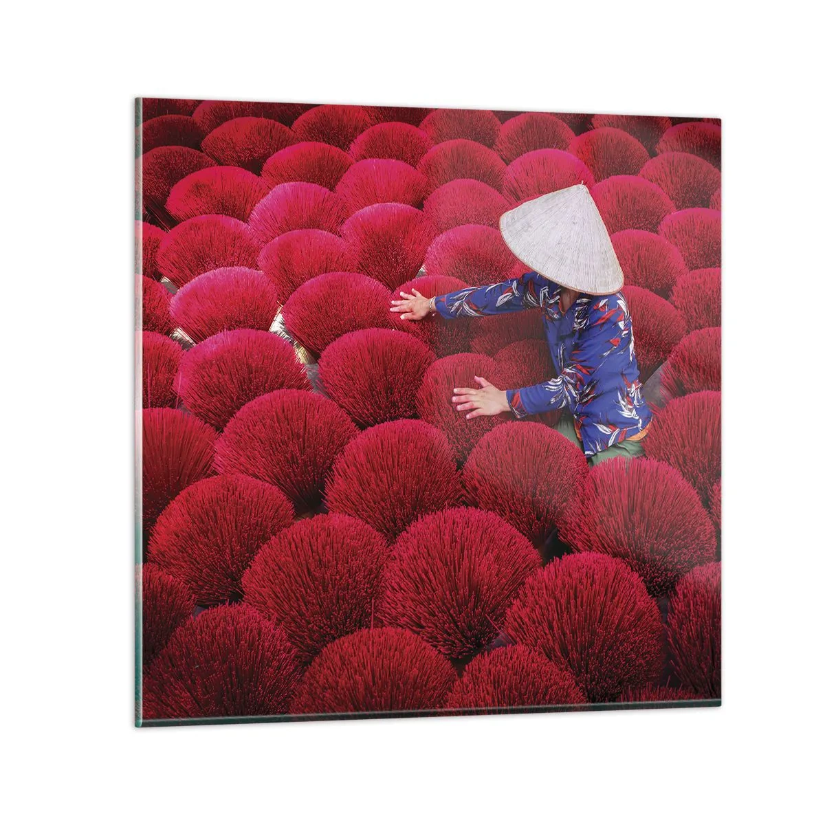 Glasbild - Bild auf glas - Im Reisfeld - 50x50 cm