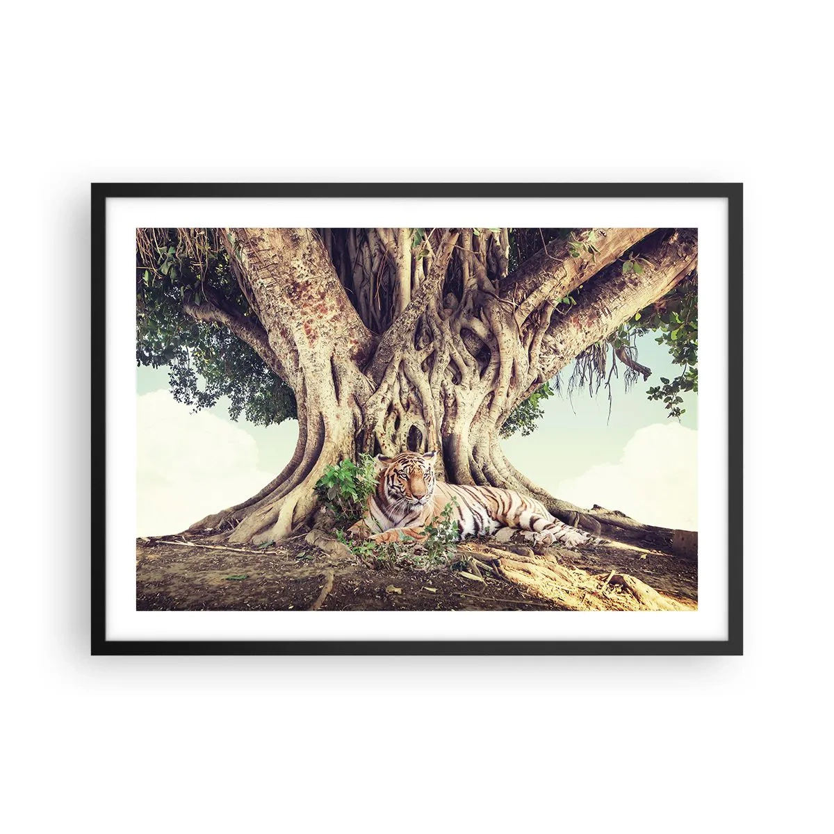 Poster in einem schwarzem Rahmen - Ein Tiger ruht unter einem ausladenden Baum - 70x50cm - Blick aus dem Buch Genesis - Moderne Wanddekoration für Wohnzimmer und Schlafzimmer ARTTOR