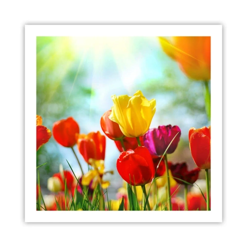 Poster - Alle Farben der Sonne - 60x60 cm