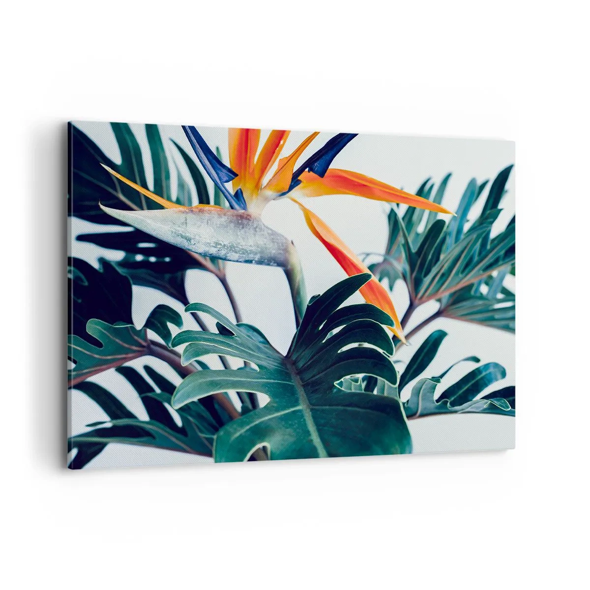 Bild auf Leinwand - Leinwandbild - Strelitzia-Blüte, umgeben von Blättern in hellem Licht - 120x80cm - Vogelbusch - Moderne Wanddekoration für Wohnzimmer und Schlafzimmer ARTTOR
