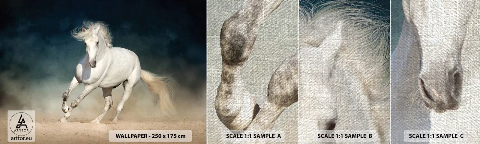 Fototapeten Muster Premium Canvas - Freiheit in ihrem reinen Zustand - Pferd, Tier, Weiß - 100x30 cm