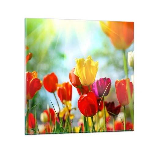 Glasbild - Bild auf glas - Alle Farben der Sonne - 30x30 cm