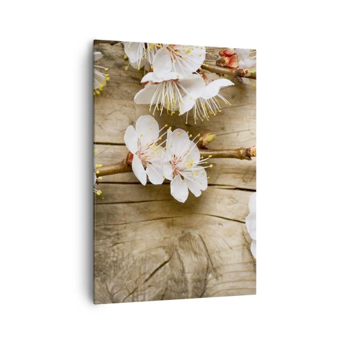 Bild auf Leinwand - Leinwandbild - Zweige blühender Kirschbäume auf einem Holzbretthintergrund - 70x100cm - Und es war Frühling - Moderne Wanddekoration für Wohnzimmer und Schlafzimmer ARTTOR