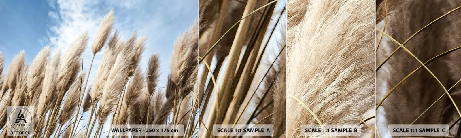 Fototapeten Muster Selbstklebend Deluxe Sticker - Sonnige und windige Liebkosungen - Pampasgras, Natur, Boho - 100x30 cm