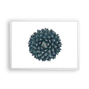 Poster in einem weißen Rahmen - Stern der Wüste - 70x50 cm