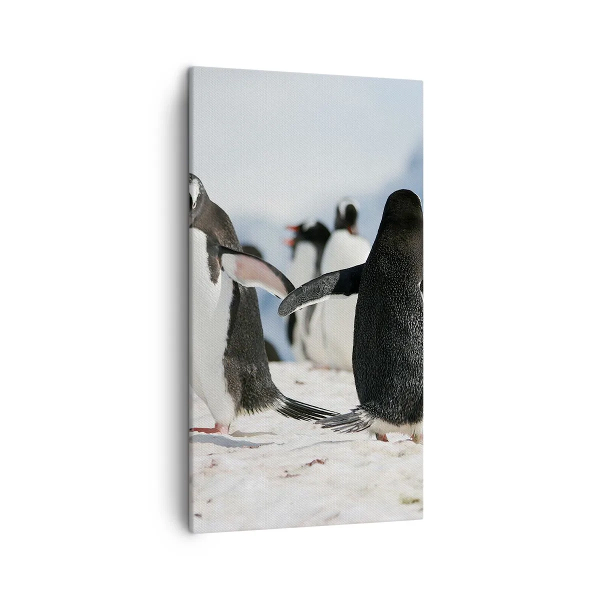 Bild auf Leinwand - Leinwandbild - Tanzen im Schnee - 45x80 cm