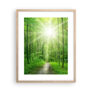 Poster in einem Rahmen aus heller Eiche - Die grüne Kathedrale - 40x50 cm