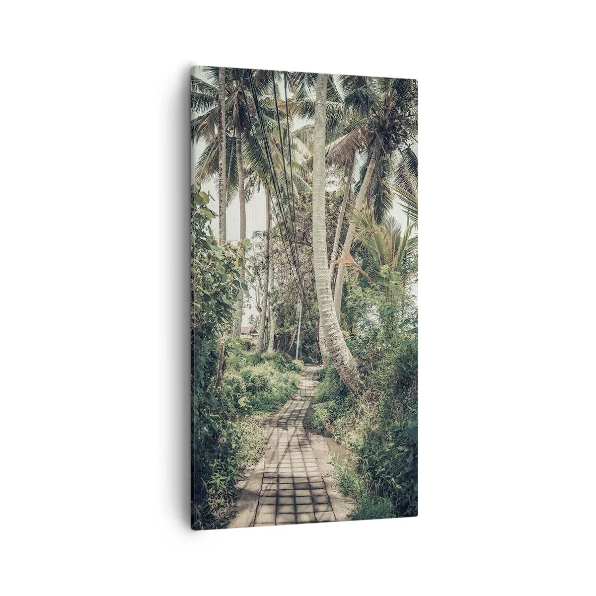 Bild auf Leinwand - Leinwandbild - Palmenallee - 55x100 cm